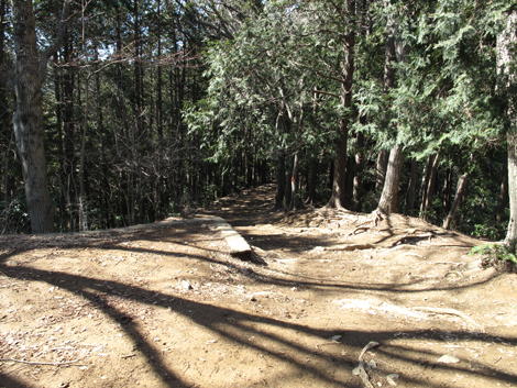 20160226hike (53)